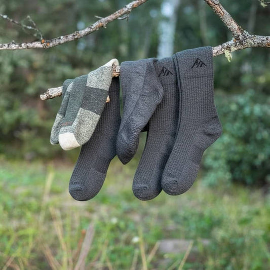 Pourquoi choisir l'alpaga pour vos chaussettes ?