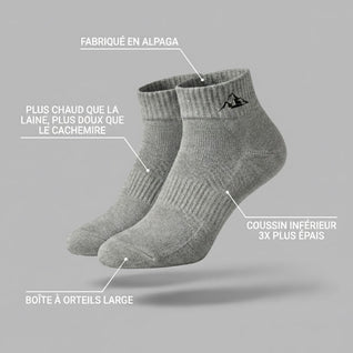Chaussettes socquettes