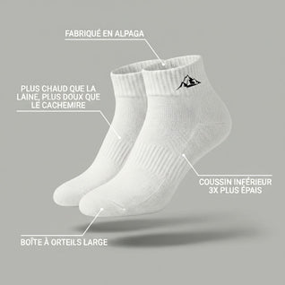 Chaussettes socquettes
