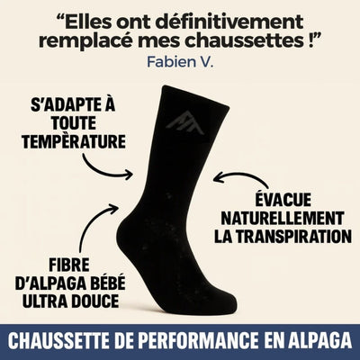 Chaussettes Chevilles en Alpaga