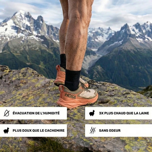 Chaussettes quart